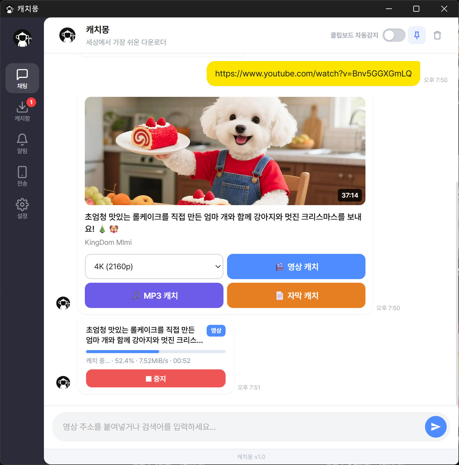 캐치몽 다운로드 카드 화면